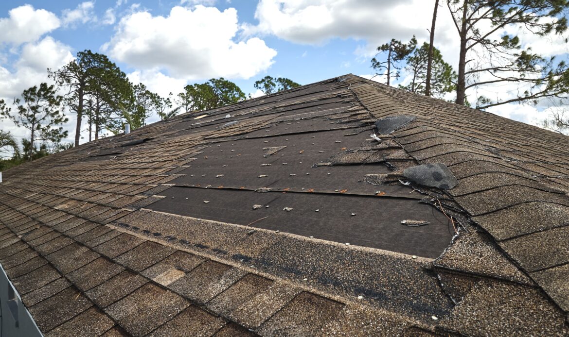 How to Spot Damage Early and Save Your Home