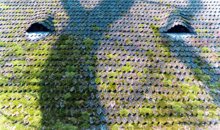 Seasonal Roof Care Tips